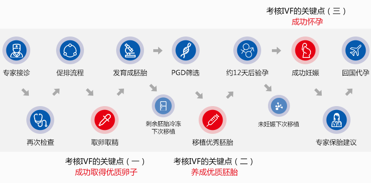 上海试管婴儿成功率