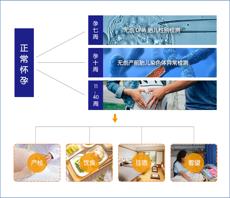 正常怀孕